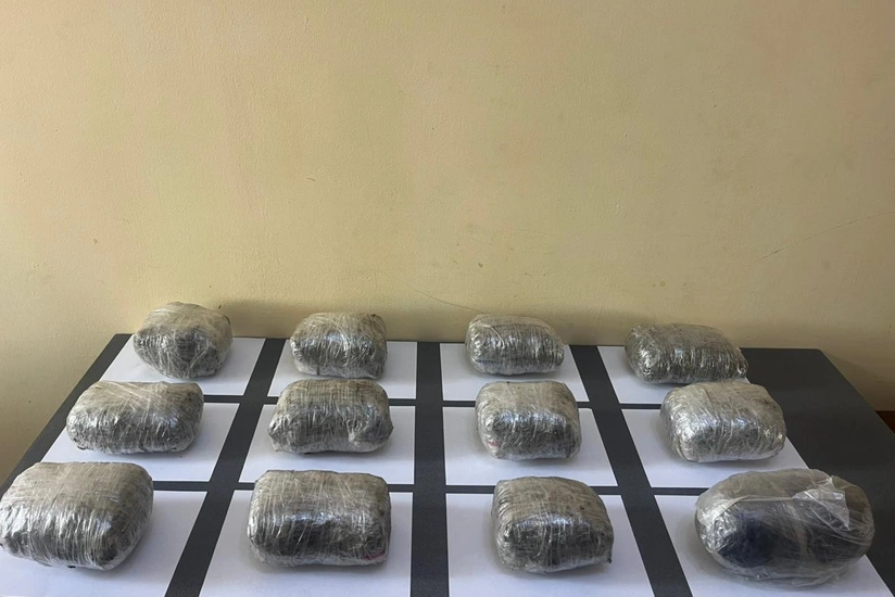 Пограничники пресекли контрабанду 64 кг наркотиков в Азербайджан