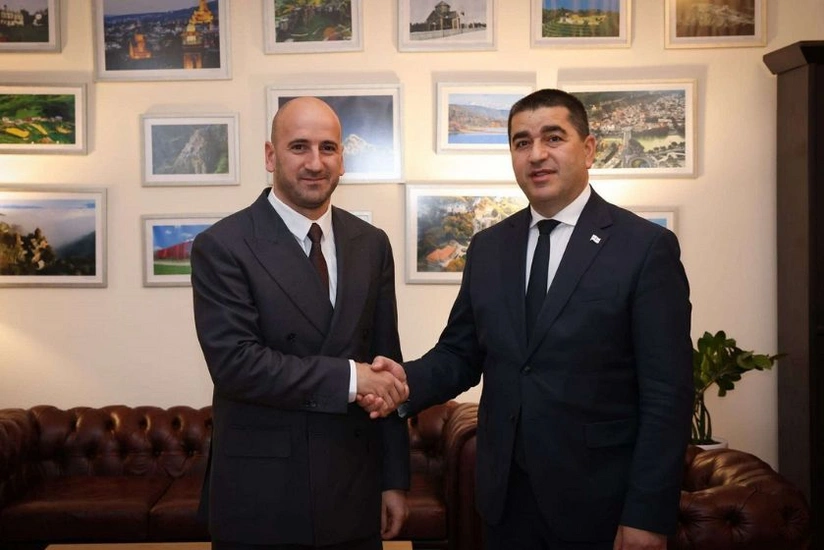 Georgian, Armenian parliamentarians discuss peace process in region