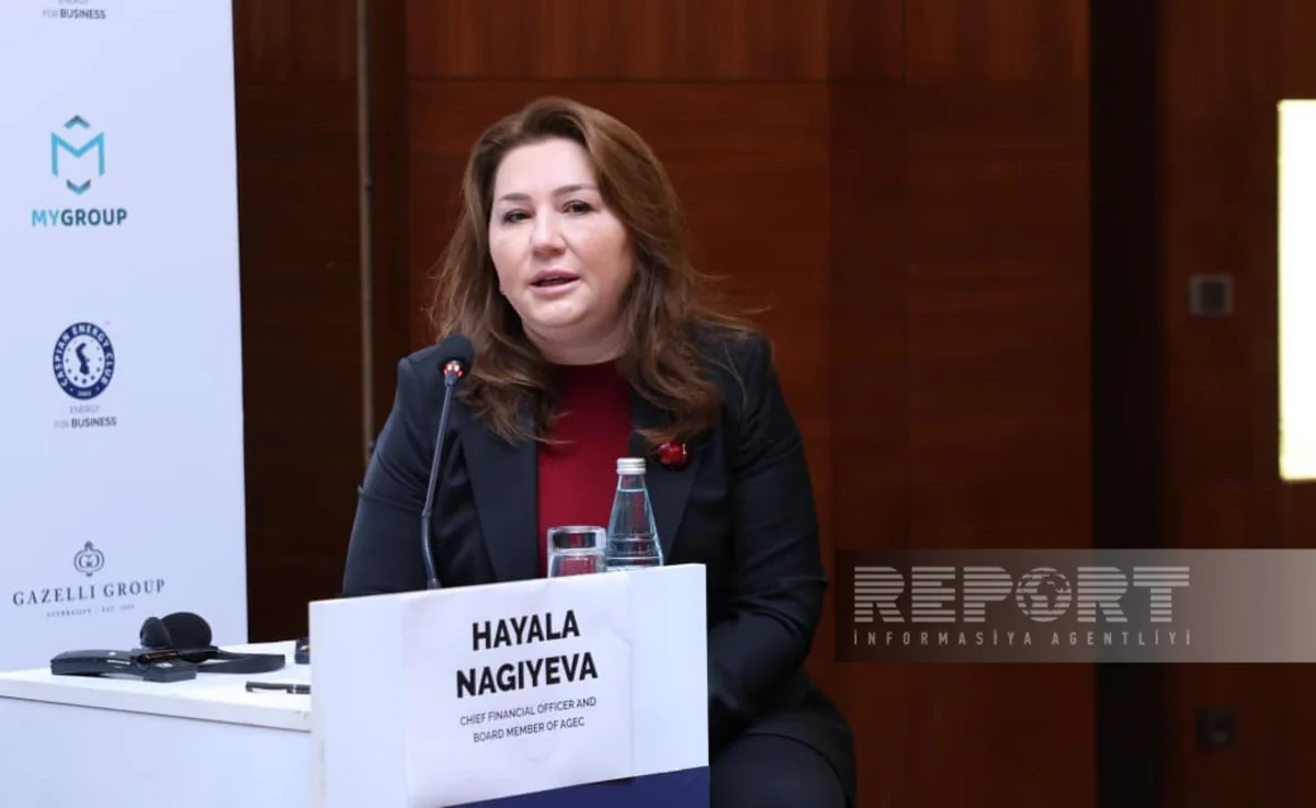 Azərbaycanda yerli investorun istehsal etdiyi yaşıl enerji özəl şirkətlər üçün əlçatan olacaq