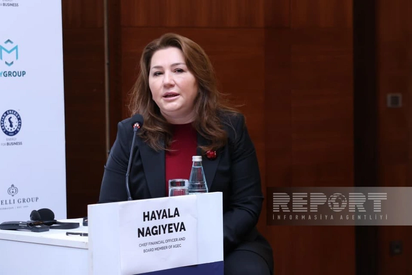 В Азербайджане произведенная местным инвестором зеленая энергия будет доступна для частных компаний