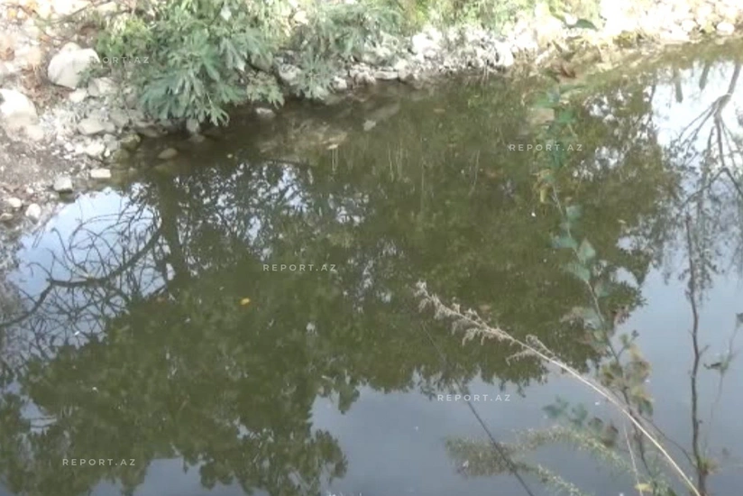 İsmayıllıda bir yaşlı körpə gölməçəyə düşərək ölüb