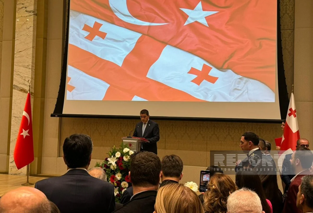 Papuaşvili: Gürcüstan Türkiyə ilə Ermənistan arasında normallaşma prosesini dəstəkləyir