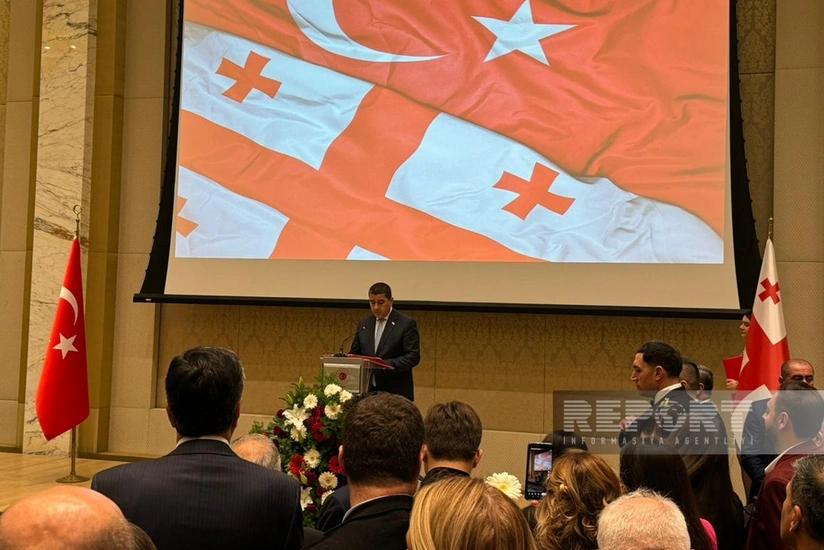 Папуашвили: Грузия поддерживает процесс нормализации между Турцией и Арменией