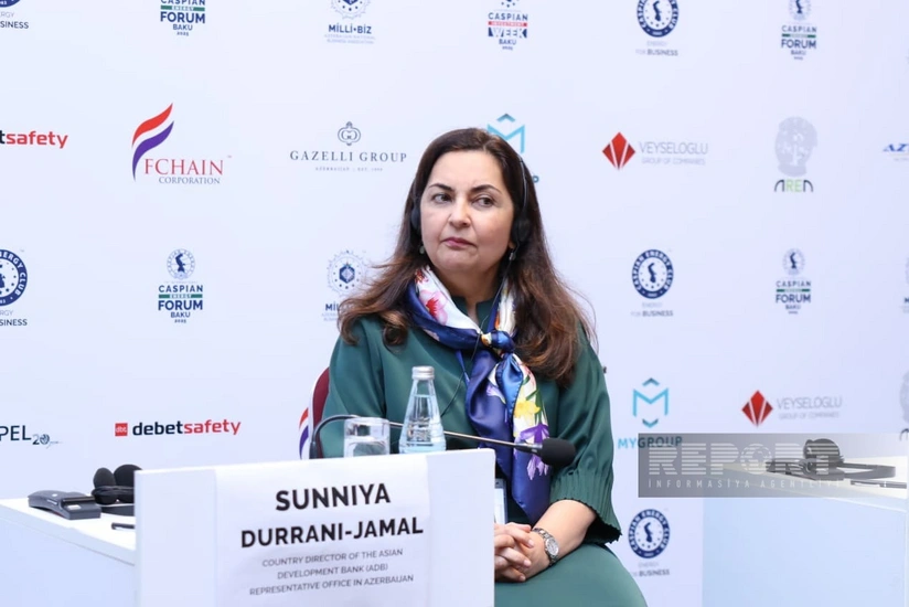 АБР готов усилить сотрудничество с Азербайджаном в области зеленых инвестиций и углеродных рынков