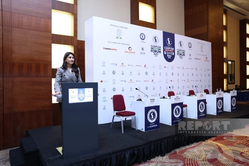 Vergi rəsmisi: Azərbaycan biznesi karbon qazının ölçülməsi sistemi yaratmalıdır