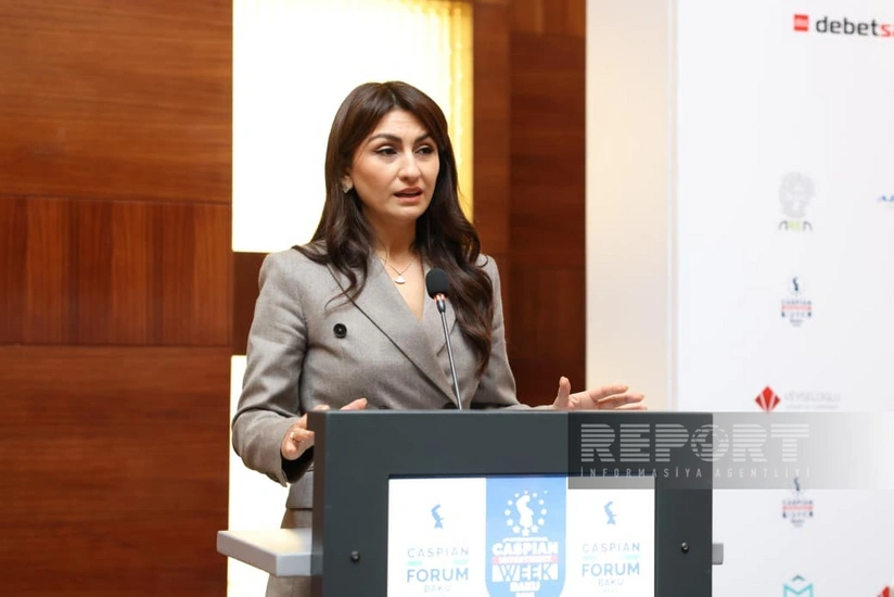 Samirə Musayeva: Azərbaycan Aİ-yə ixrac edəcəyi məhsullara görə karbon vergisi ödəyəcək