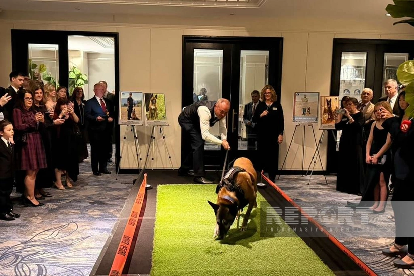 ABŞ-də ANAMA əməkdaşına və itinə İlin minaaxtaran it komandası mükafatı təqdim olunub