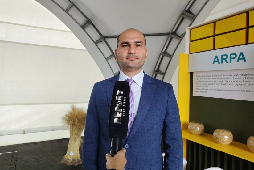 Baş direktor: İmişlidəki müəssisə Cənubi Qafqazda pivəlik arpa emalı üzrə ixtisaslaşmış ilk istehsal obyektidir