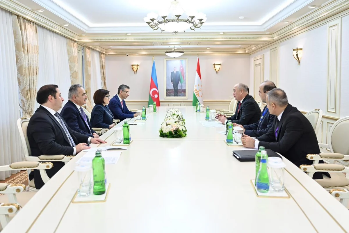 Sahibə Qafarova Tacikistan Ali Məclisi Nümayəndələr Palatasının sədri ilə ikitərəfli əlaqələri müzakirə edib
