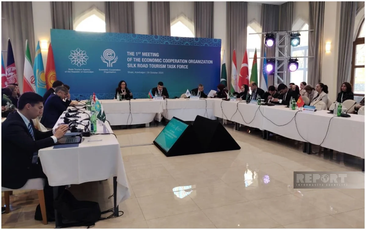 First meeting of ECO Working Group on Silk Road underway in Azerbaijan's Shaki