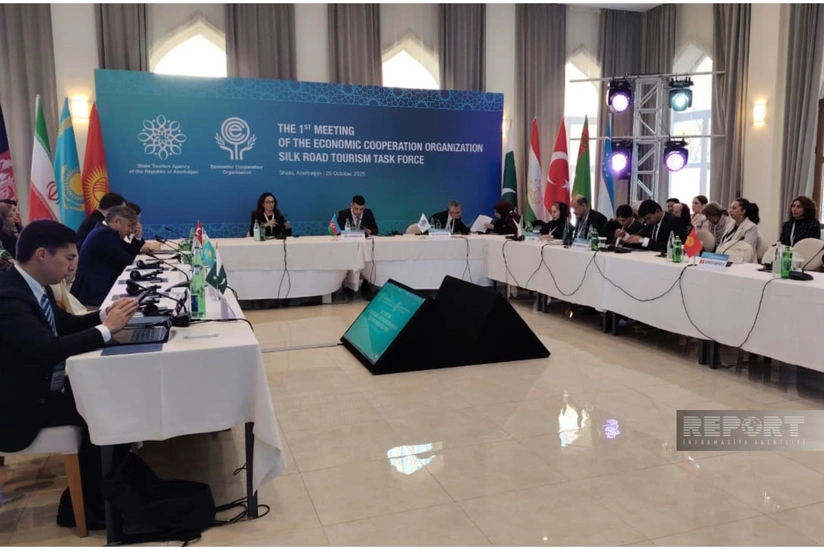 В Шеки проходит I заседание Рабочей группы стран ОЭС по Шелковому пути - ОБНОВЛЕНО