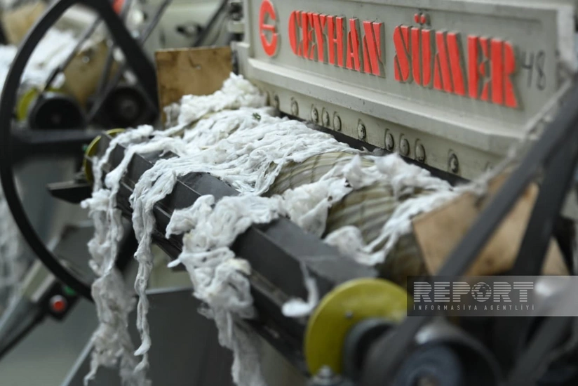 Sabirabaddakı Taşobası müəssisəsində 80 iş yeri yaradılıb