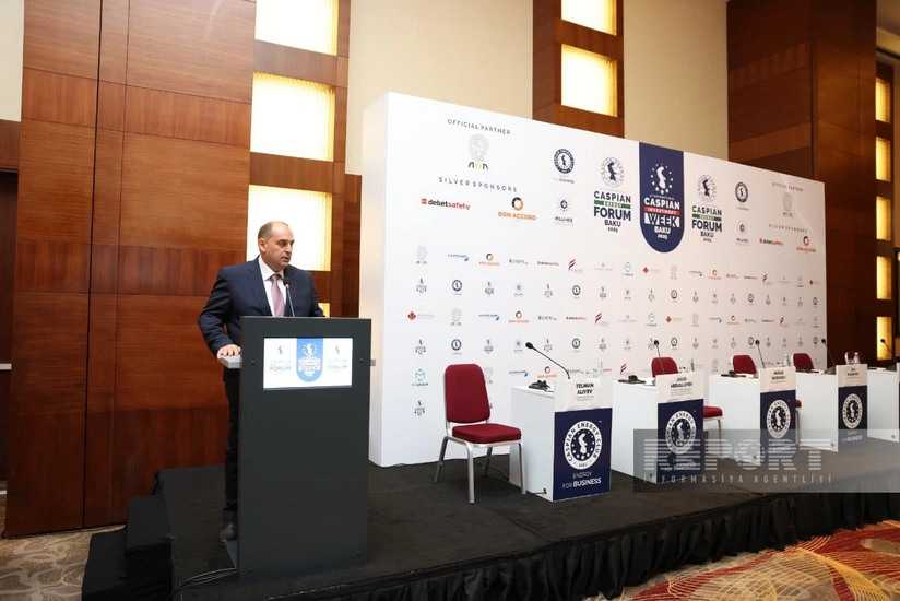 Cavid Abdullayev: Azərbaycanın kifayət qədər böyük saxlanc sistemi olacaq