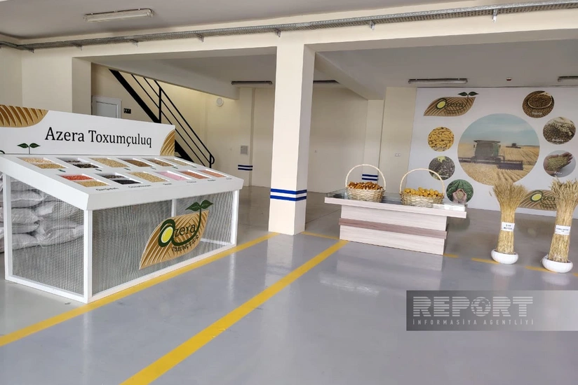 Семеноводческое предприятие Azera Toxumçuluq создаст 20 рабочих мест в Сабирабаде