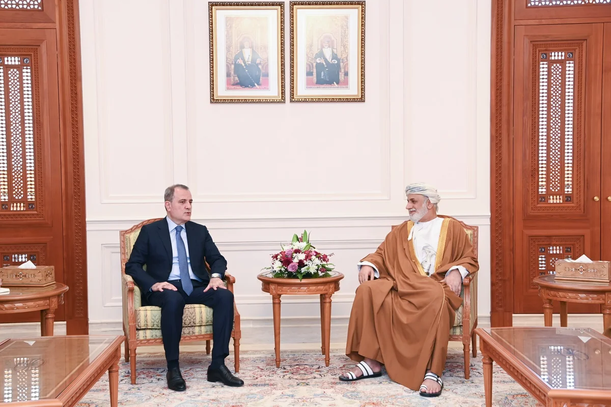 Jeyhun Bayramov, Oman's State Council chair mull cooperation