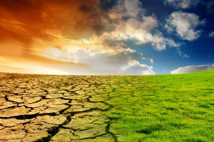 ВОЗ: Из-за глобального потепления каждую минуту погибает один человек