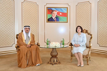 UAE, Azerbaijan emphasize deeper cooperation in cultural and humanitarian fields