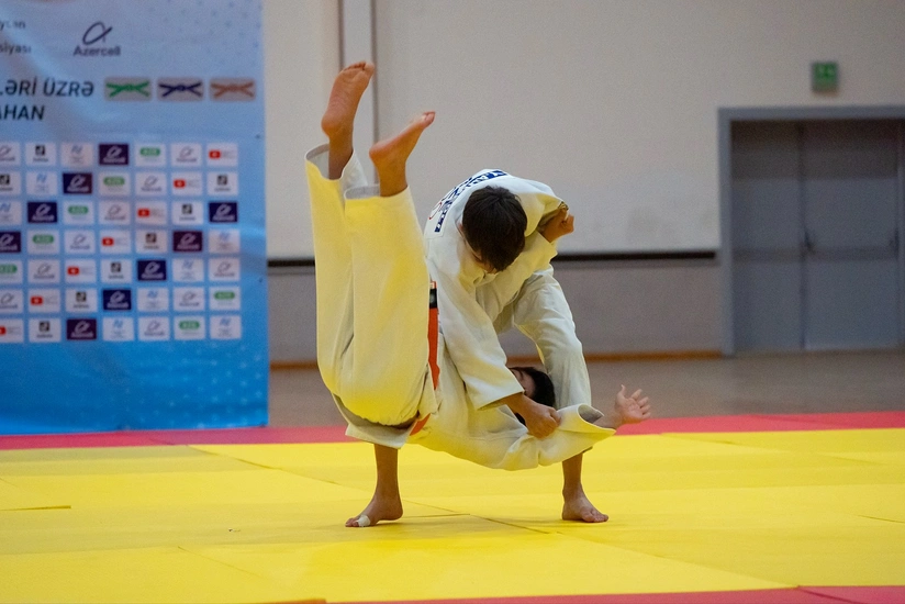 Naxçıvanda kəmər dərəcələri üzrə rəsmi imtahan keçirilib