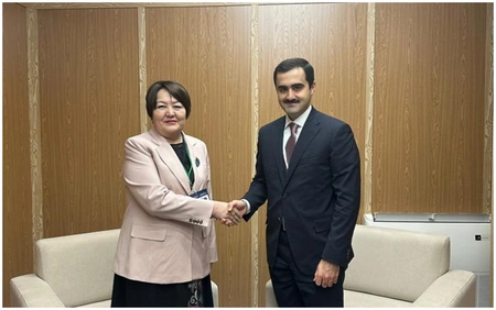 Azerbaijan and Kyrgyzstan discuss cooperation in education