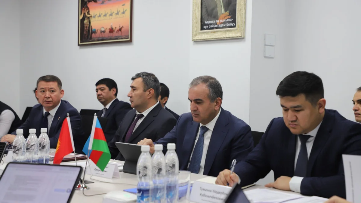 Baku, Bishkek to allocate $2.5M to construct small hydropower station in Kyrgyzstan