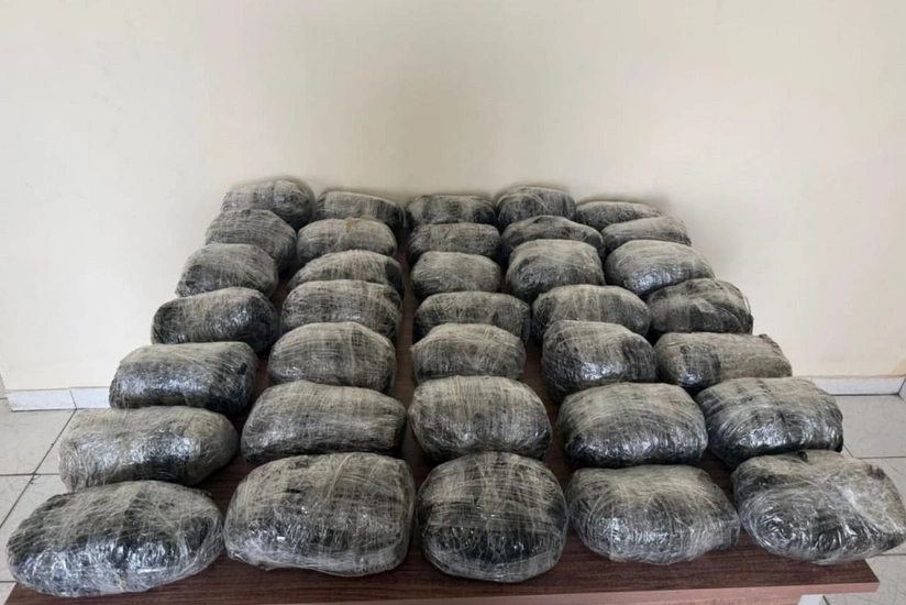 ГПС: В октябре на госгранице обнаружено и изъято более 489 кг наркотиков