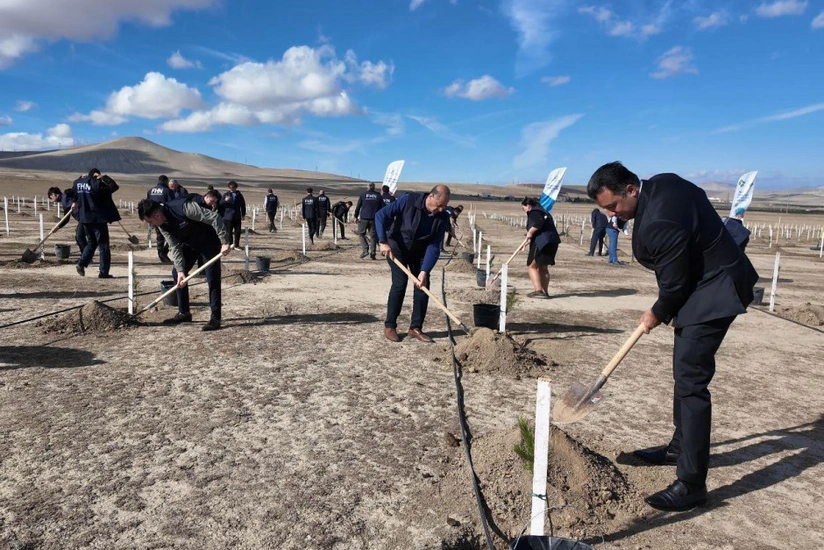 FHN Zəfər Gününə həsr olunmuş ağacəkmə aksiyası keçirib