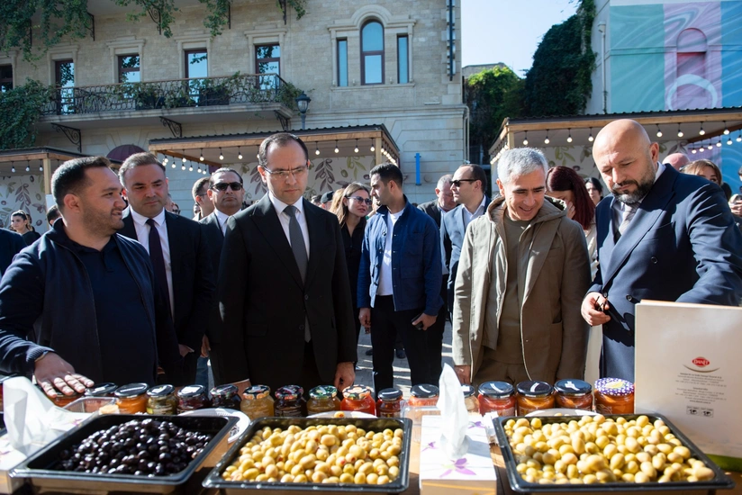 Məcnun Məmmədov: Azərbaycanda zeytunçuluğun inkişafı ixrac imkanlarını genişləndirməyə şərait yaradır