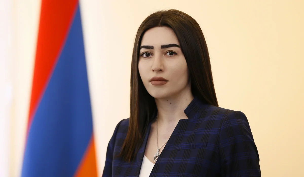 Армения в ближайшие дни получит План действий ЕС по либерализации визового режима