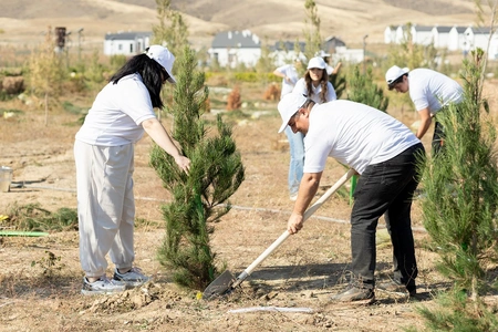 AzInTelecom Ağdamda ağacəkmə aksiyası keçirib