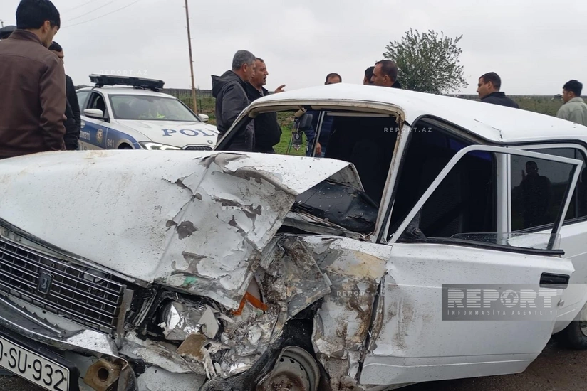 Cəlilabadda avtomobil atı vuraraq öldürüb