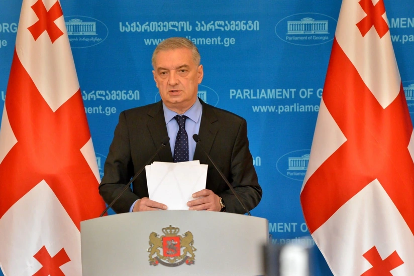 В Грузии раскритиковали отчет Еврокомиссии о расширении ЕС