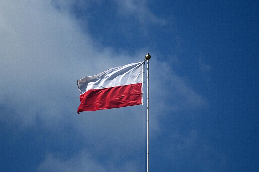 Польша планирует создать собственную стену дронов