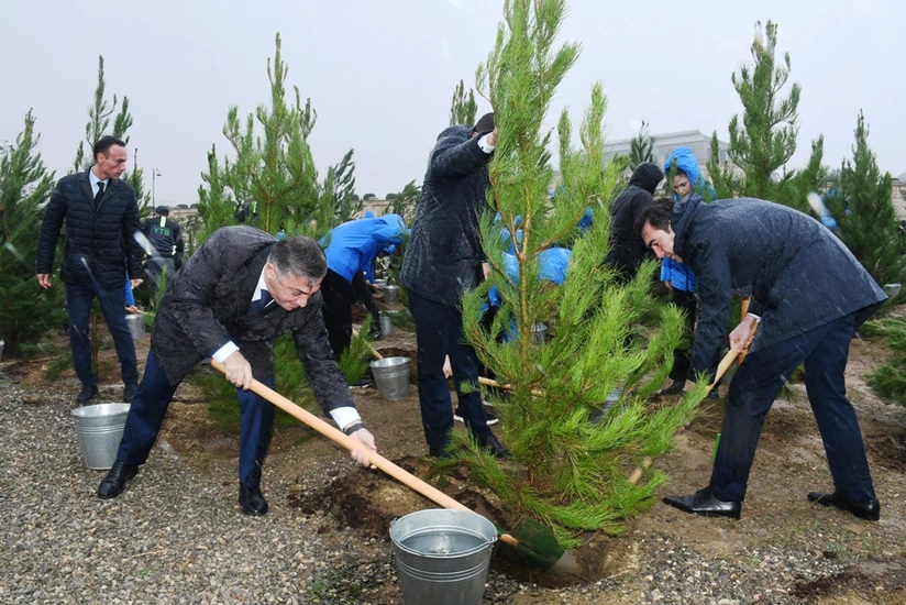 Bakıda Zəfər Gününün 5-ci ildönümünə həsr edilən ağacəkmə aksiyası keçirilib