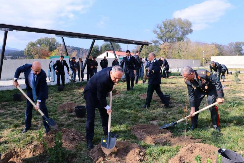 Baş prokurorun iştirakı ilə Zəngilanda ağacəkmə aksiyası keçirilib