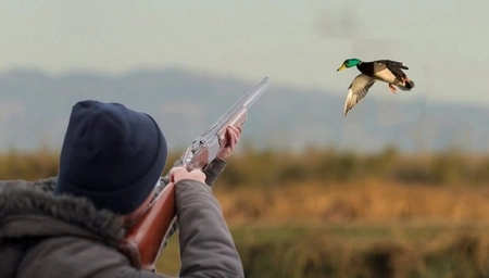 Zərdabda adları Qırmızı kitaba düşən quşları ovlayan ata və oğul saxlanılıb