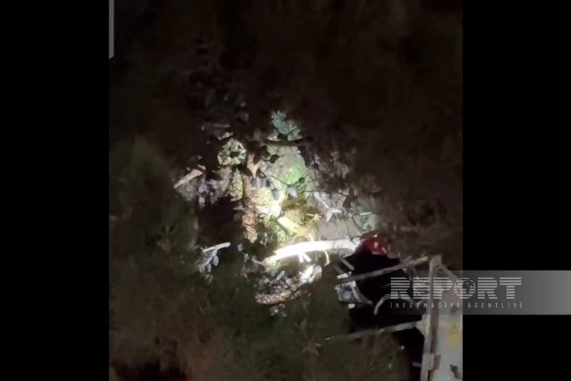 Xaçmazda aşkarlanan Qara kərkəs xilas edilərək aidiyyəti üzrə təhvil verilib