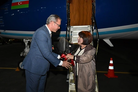 Speaker of Azerbaijani parliament attends COP30 session in Brazil