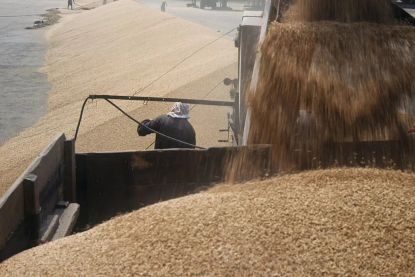 ЮКЖД: Сегодня из Азербайджана 15 составов с российским зерном для Армении прибудут в Грузию