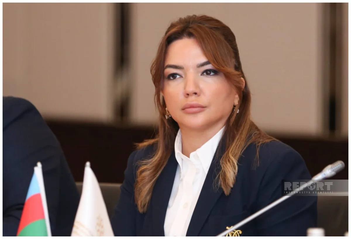 Aygun Aliyeva: Record number of projects on Western Azerbaijan funded in 2025