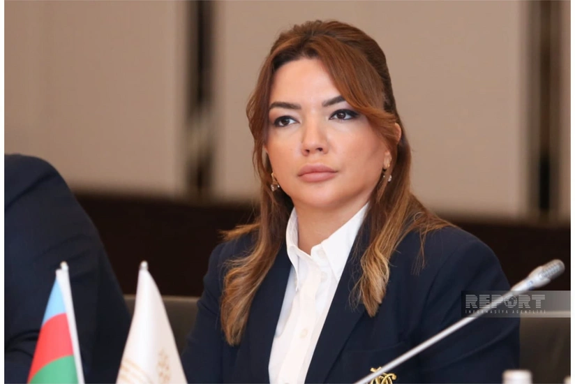 Aygün Əliyeva: Bu il Qərbi Azərbaycanla bağlı maliyyələşdirdiyimiz layihələr rekord sayda olub