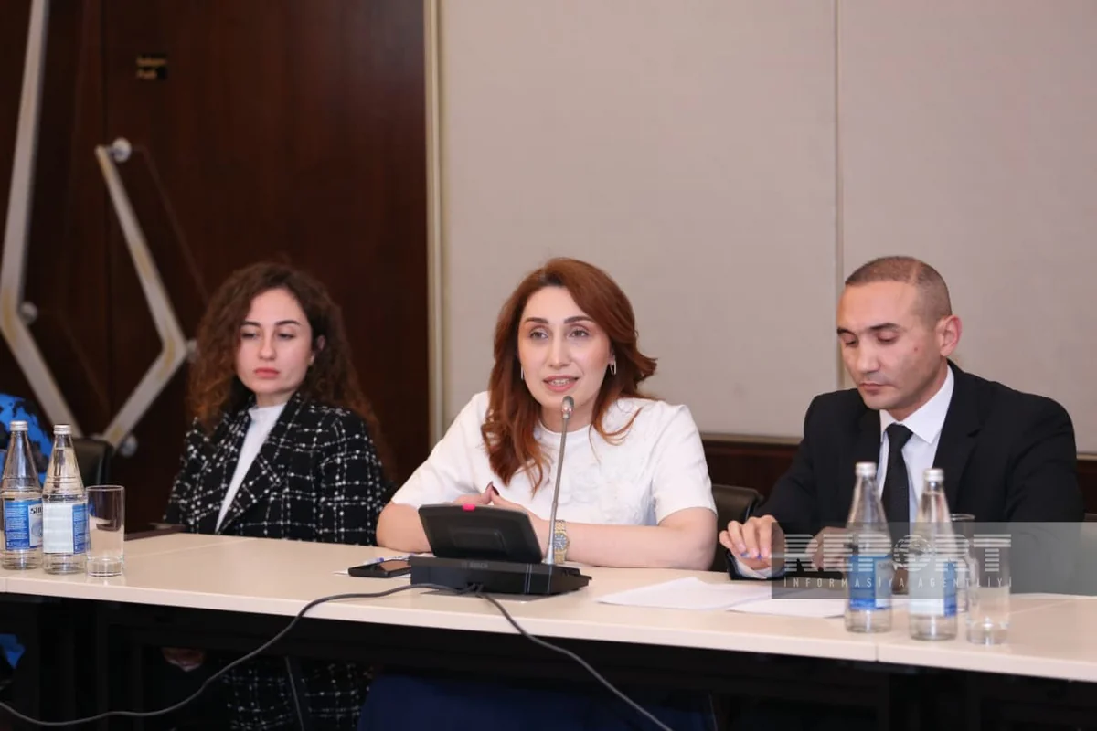 Azərbaycan dilinin təbliği üçün mobil tətbiqlərin yaradılması təklif edilib