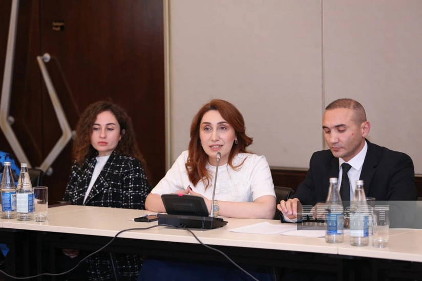 Azərbaycan dilinin təbliği üçün mobil tətbiqlərin yaradılması təklif edilib