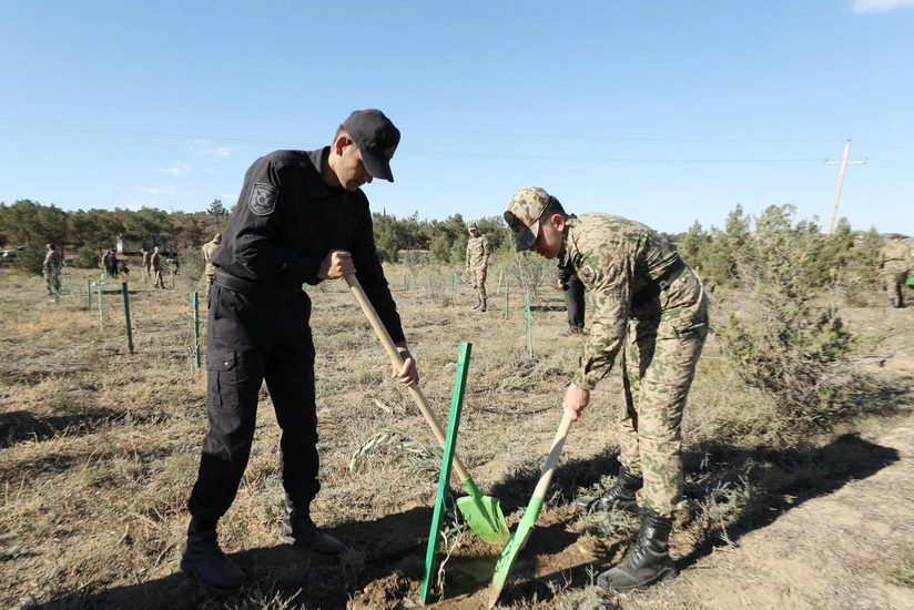 DİN-in əməkdaşları Zəfər Günü ilə əlaqədar ağacəkmə kampaniyası keçiriblər