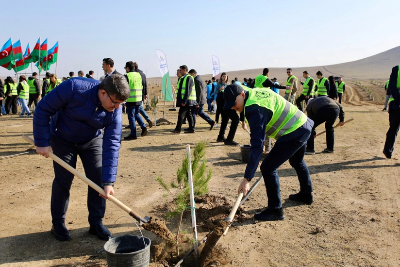 Zəfər Günü münasibətilə ağacəkmə aksiyası keçirilib