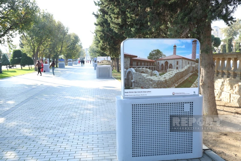 Dənizkənarı Bulvar İdarəsi sığortaçı seçir