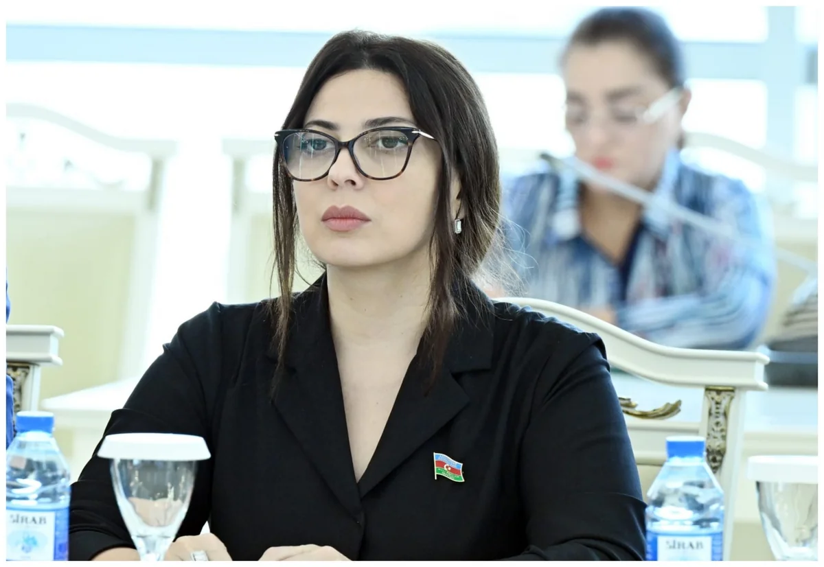 Deputat müdafiə sahəsində elmi-tədqiqat və innovasiyalara vəsaitin artırılmasını təklif edib