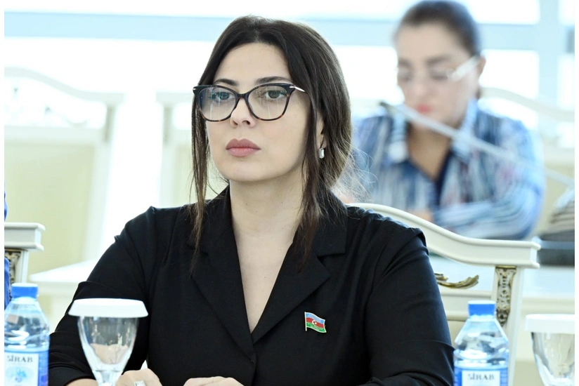 Deputat müdafiə sahəsində elmi-tədqiqat və innovasiyalara vəsaitin artırılmasını təklif edib