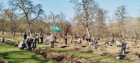 More than 30,000 trees planted in forest fund in honor of Azerbaijan's Victory Day