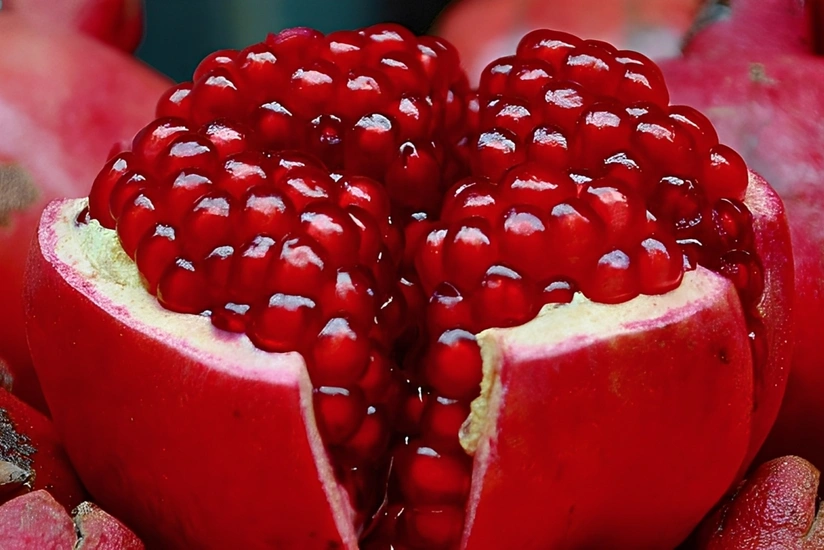 Göyçay Nar Festivalında narın qiymətləri açıqlanıb