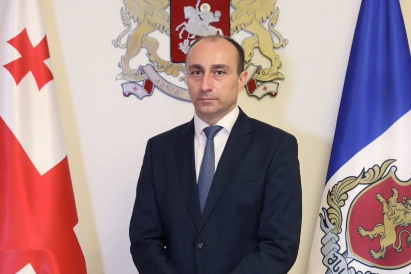 Gürcüstanın daxili işlər naziri təyyarənin qəzaya uğradığı ərazidədir